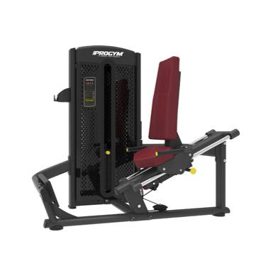 Seated Calf