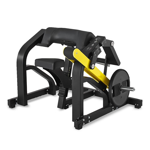 Biceps Curl