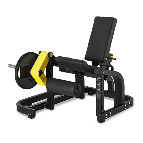 Leg Extension