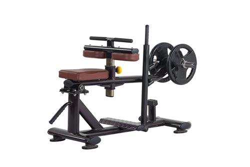 Seated Calf Machine