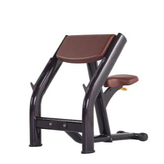Seated Arm Curl